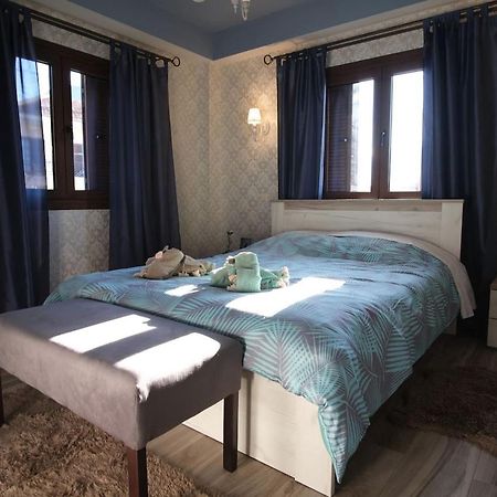 Mama'S Cozy Room 3 Kalampáka Dış mekan fotoğraf
